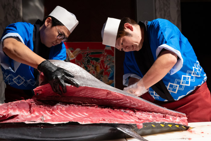 本マグロの解体ショー